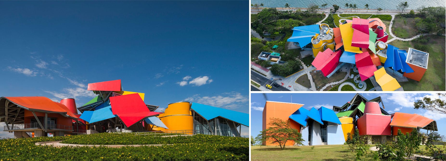 biomuseo
