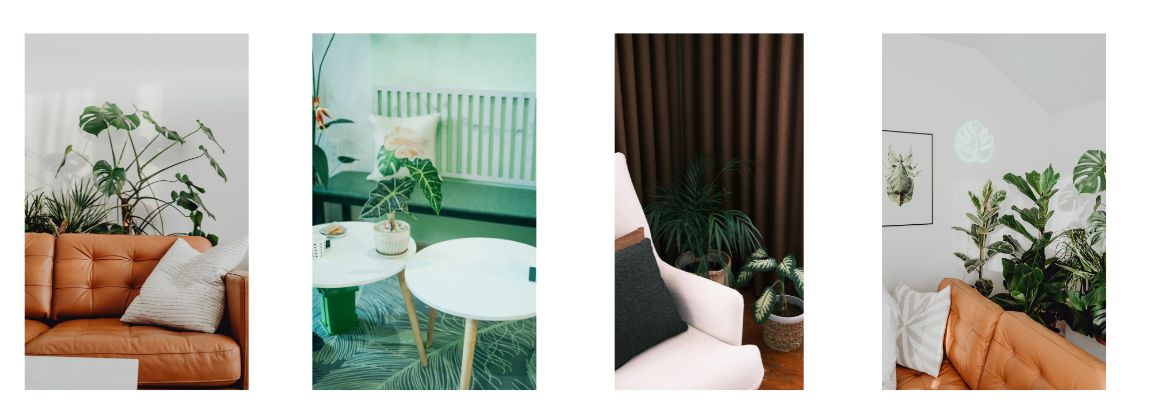 harmonie des couleurs