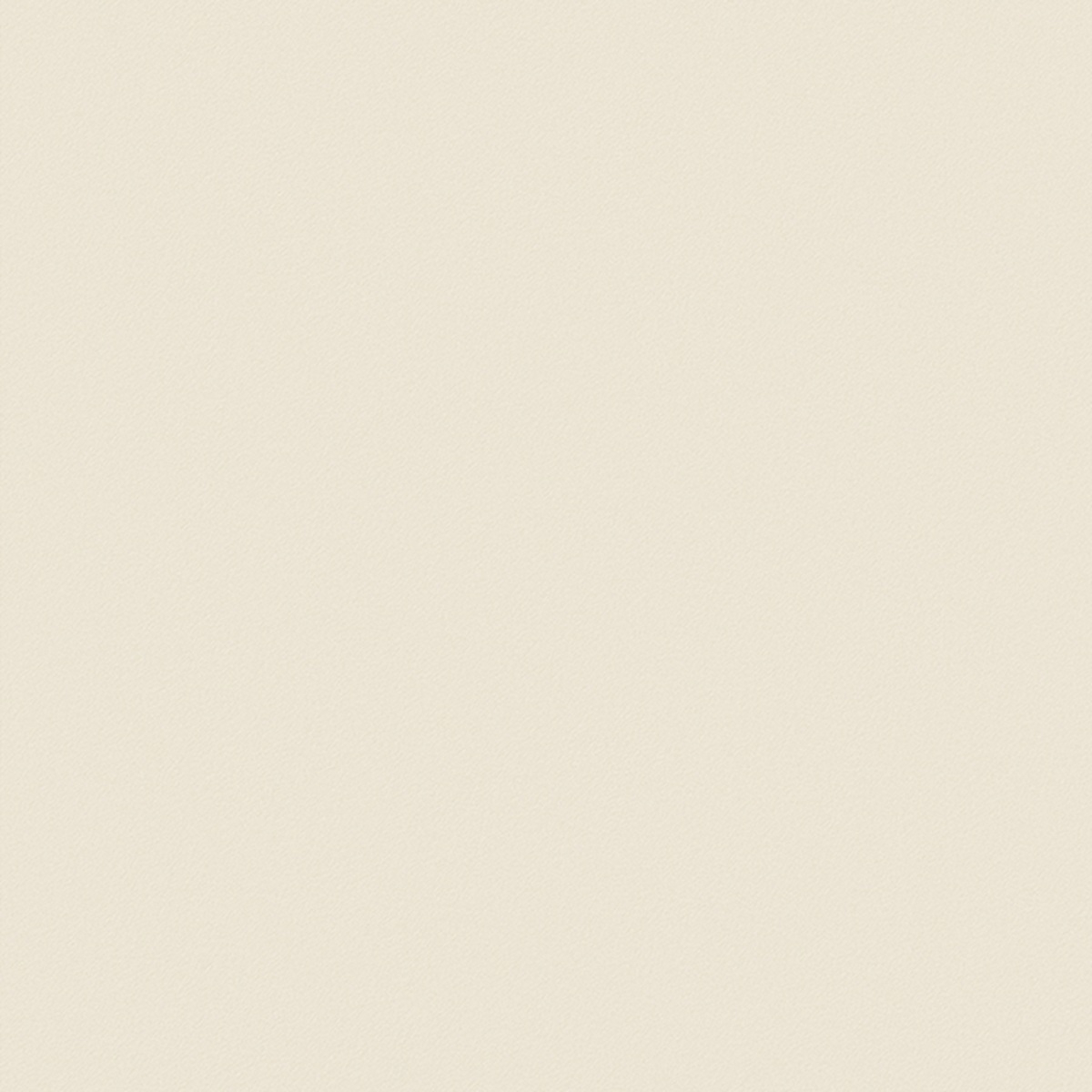 Eléments texture Beige Naturale