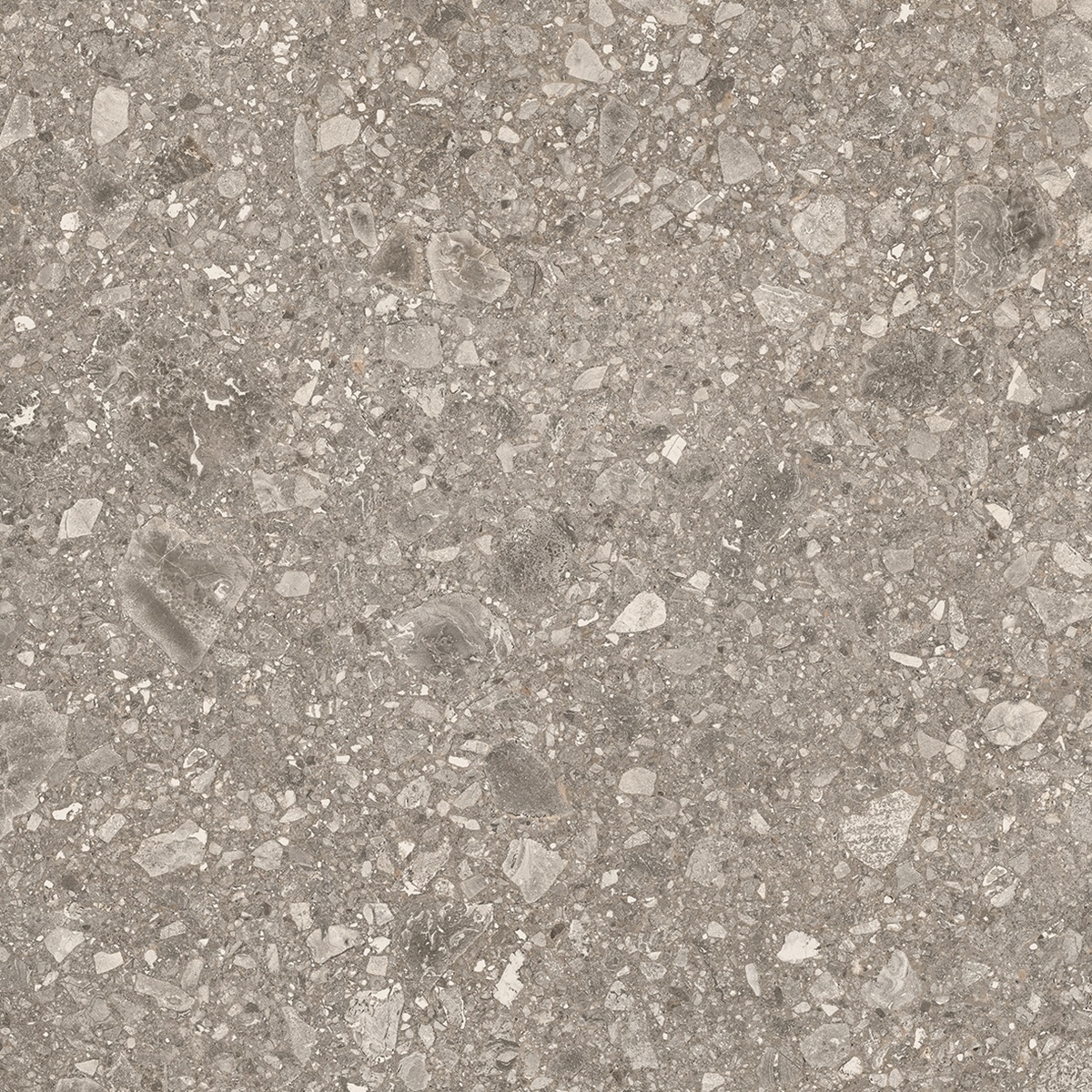 Lombarda Grigio