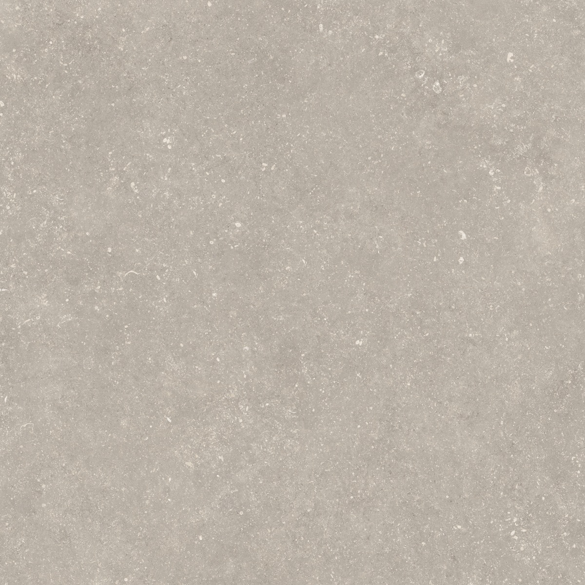 Plinthe Legend Fossil Grey