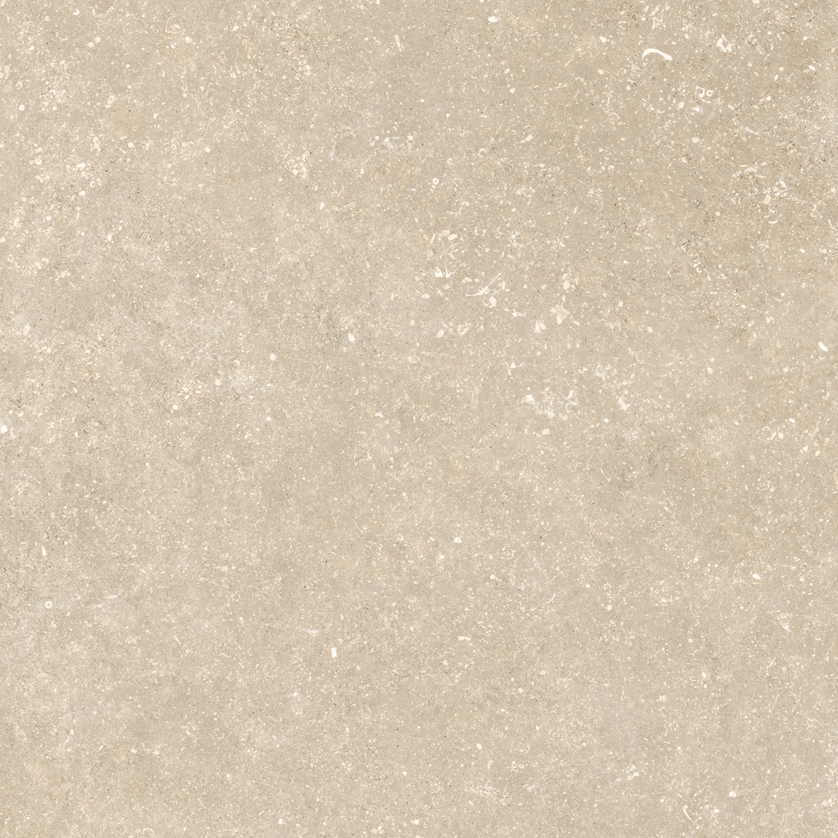 Plinthe Legend Aura Beige
