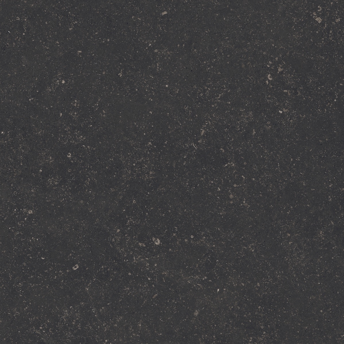 Plinthe Legend Origin Black