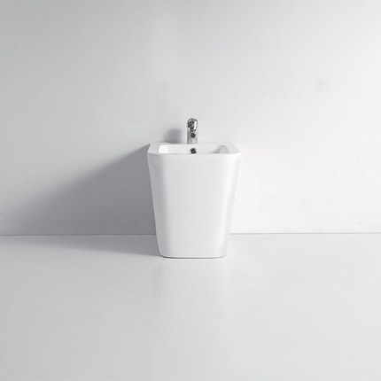 Bidet à poser Eden en porcelaine blanche
