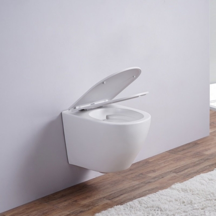 Cuvette suspendue Joy Blanche matte Rimless