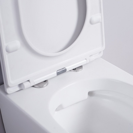 Cuvette suspendue Joy Blanche matte Rimless