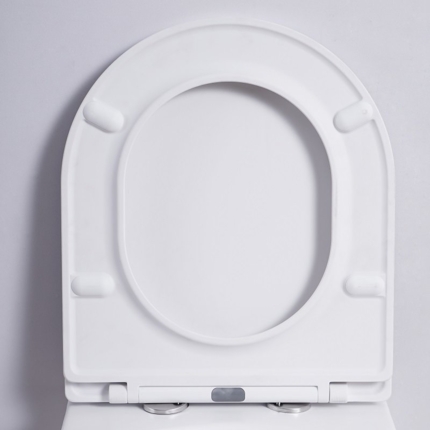 Cuvette suspendue Joy Blanche matte Rimless