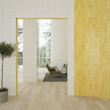 Carrelage aspect Zellige Bejmat 5x15 cm 
