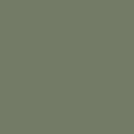 Baignoire Sauge mat 170 cm 