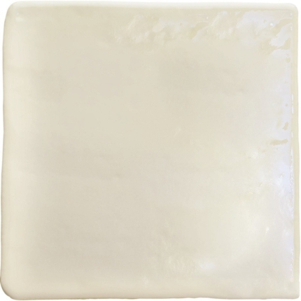 Carrelage Roots mat et gloss