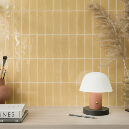 Rebels 5 x 15 cm matte and glossy tiles