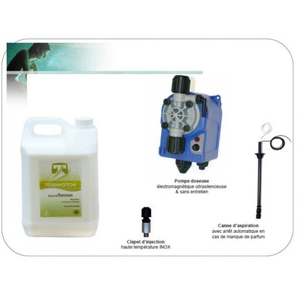 Kit d'injection de parfum aux huiles essentielles d'eucalyptus
