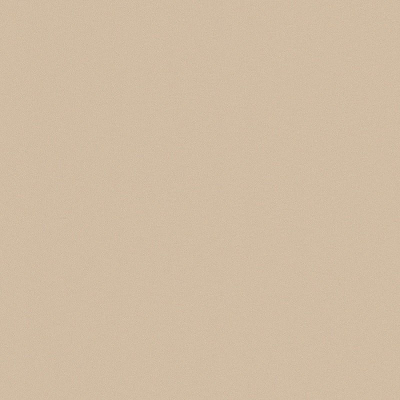 Carrelage Architecture Dark Ivory Matt