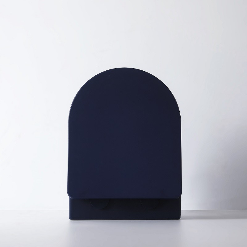 Cuvette wc bleu marine 2025