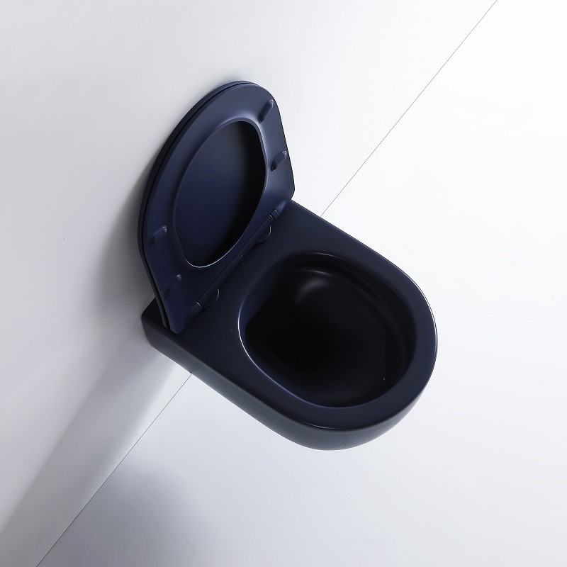 Cuvette wc bleu marine 2025