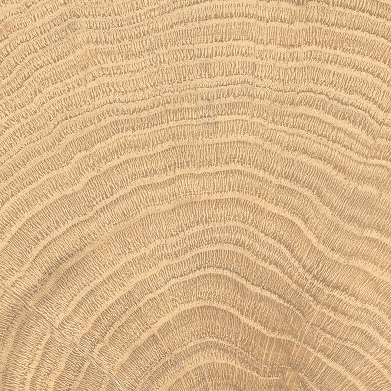 W-circles oak 100x100