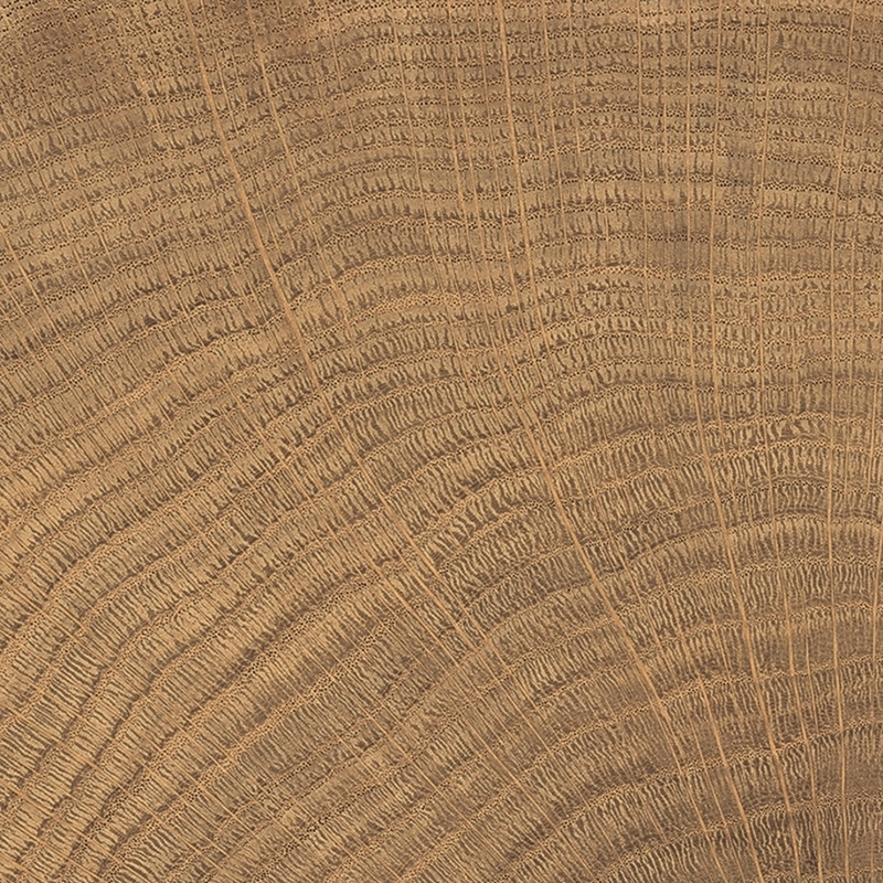 W-circles walnut 100x100